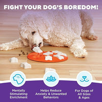 Outward Hound by Nina Ottosson Dog Smart Treat Puzzle Enrichment Toy, Level 1 Beginner, Orange