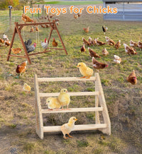 PETSFIT Baby Chick Roosting Bar, Anti-Rotation, Solid Wood - 13.6“L×14.4W×11.4"H / Basic - image 4
