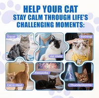 Just Try 300 Bites Calming Cat Treats for Relaxation - with Chamomile, L-Tryptophan, Melatonin for Cats– Chicken Flavor Calming Bites for Cats 6.35 oz