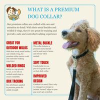 Country Brook Petz - Premium Nylon Dog Collar with Metal Buckle for Small Medium Large Breeds - 30+ - Small (Pack of 1) / Black - image 4