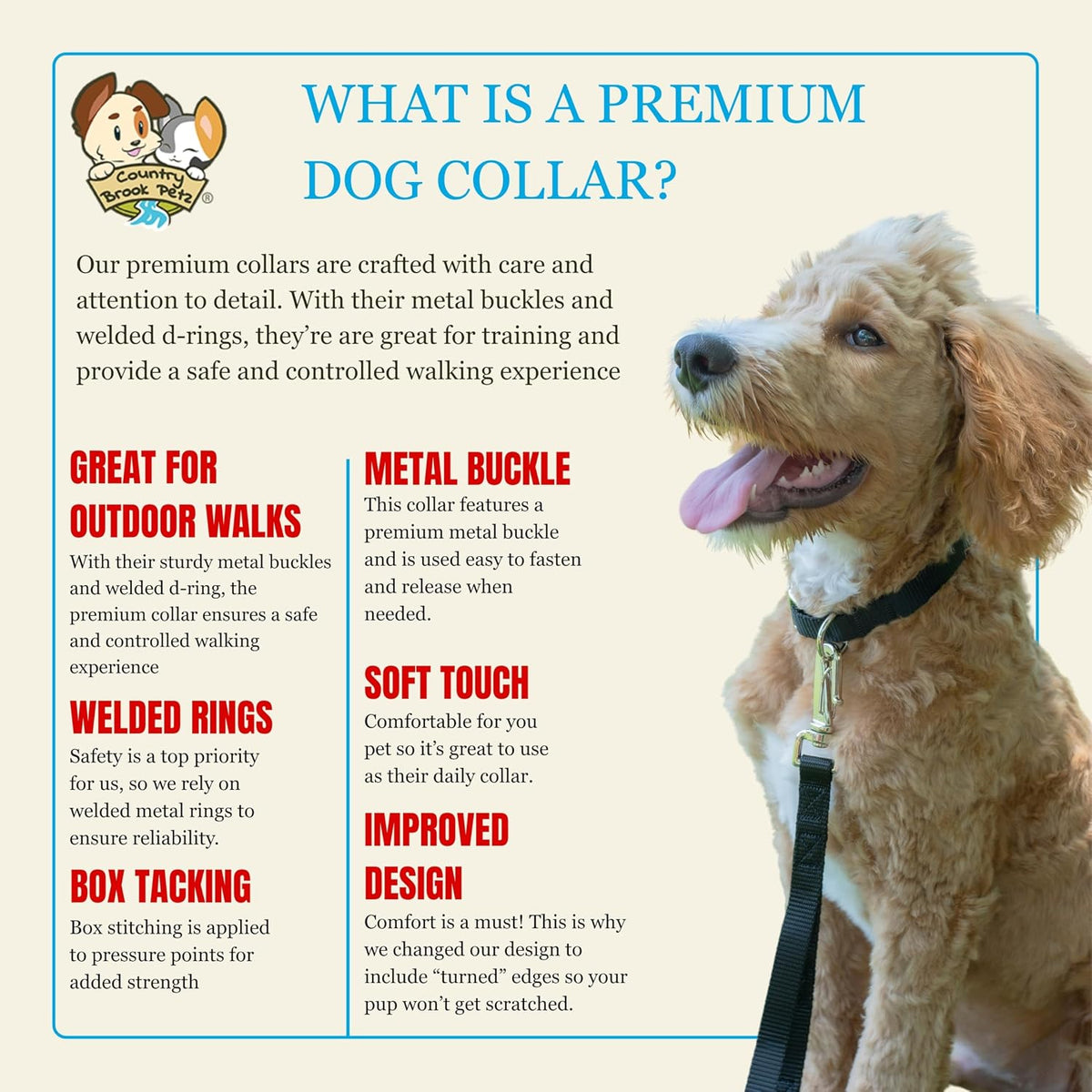 Country Brook Petz - Premium Nylon Dog Collar with Metal Buckle for Small Medium Large Breeds - 30+ - Small (Pack of 1) / Black - image 4