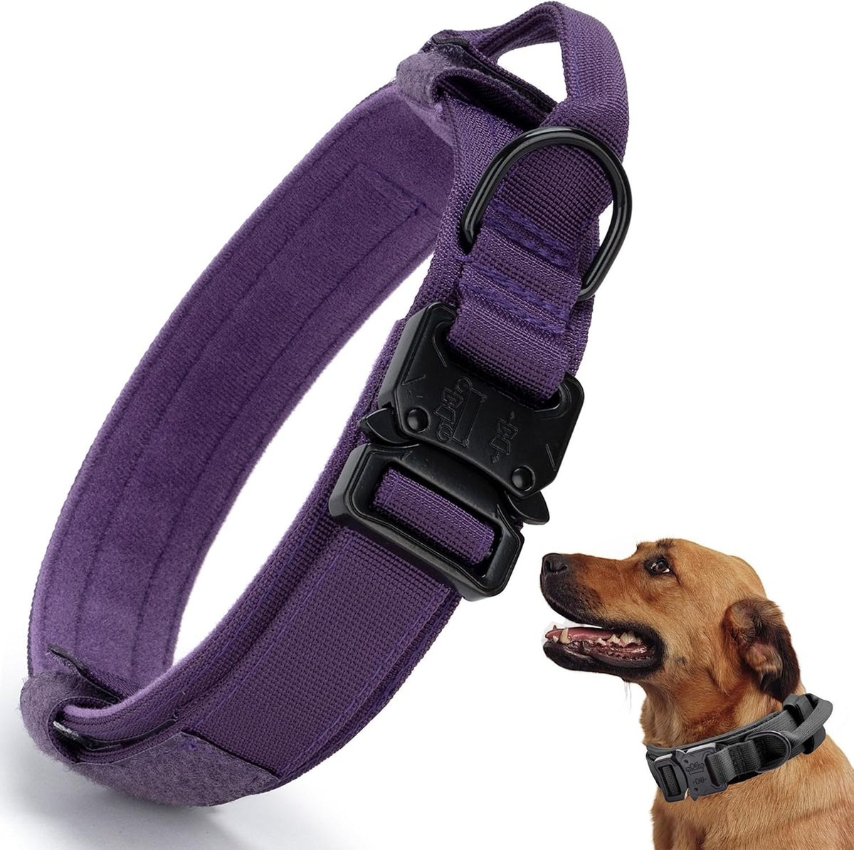 Tactical Dog Collar, Adjustable Military Training Nylon Pet Collar, Black L – Essentials for Dogs - Purple / Small :Width 1",Neck 11.4-13.7"