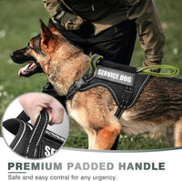 WINSEE Tactical Dog Harness - Medium / Black - image 3