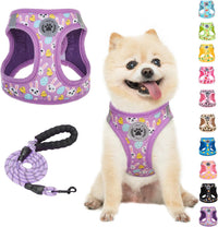Small Dog Harness and Leash Set, No Pull Puppy Pet Vest, S - XSmall(Chest Girth 13" - 14.5") / Colorful