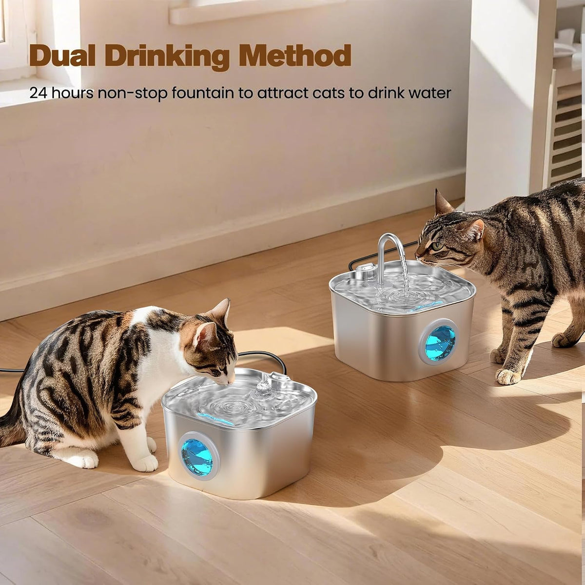 Cat Water Fountain Stainless Steel: Pet Fountains for Cats/Dog Indoor - 74oz/2.2L Cat Fountain + 8 Filters + 5 Sponges - image 3