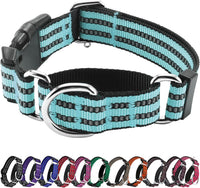 Martingale Collar for Dogs, Reflective Escape Proof, M - Sky Blue / Medium