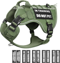 WINSEE Service Dog in Training Mesh Harness with 10 Removale Pet - Large / Green