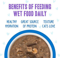 Weruva B.F.F. OMG - Best Feline Friend Oh My Gravy!, Ciao Baby! with Chicken & Shrimp in Gravy Cat Food, 2.8oz Pouch (Pack of 12)