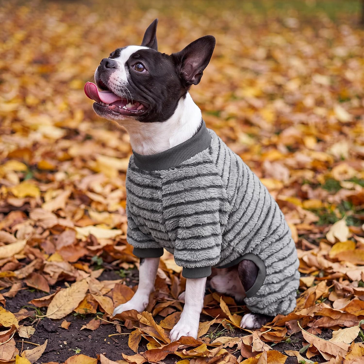 Cow Dog Sweater, Dog Winter Clothes for Small Medium Dogs Girl Boy Fleece Pet Pajamas for Winter - Stripe Grey / X-Large(Chest:18.9-21.6") - image 3