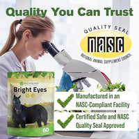 Silver Lining Herbs Bright Eyes Vitamins - Horses Eye Supplements to Support Capillary Health, Great Vision, & Overall Eye Health - Plant-Based Herbal Horse Supplements - 1 lb 60-Day Supply
