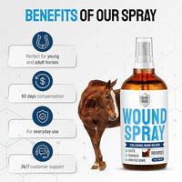 Horse Wound Care Spray with Silver – Wounds, Scratches, Cuts, Abrasions, Itching, Hot Spots, Skin Irritation – First Aid Solution and Breeds – 4 Oz