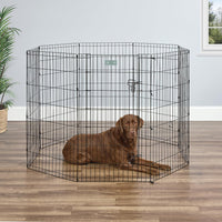 MidWest 30-Inch Exercise Pen, Single Door, 16 Sq Ft Play Area – Essentials for Dogs - Black w/ Door / 42" H - image 3