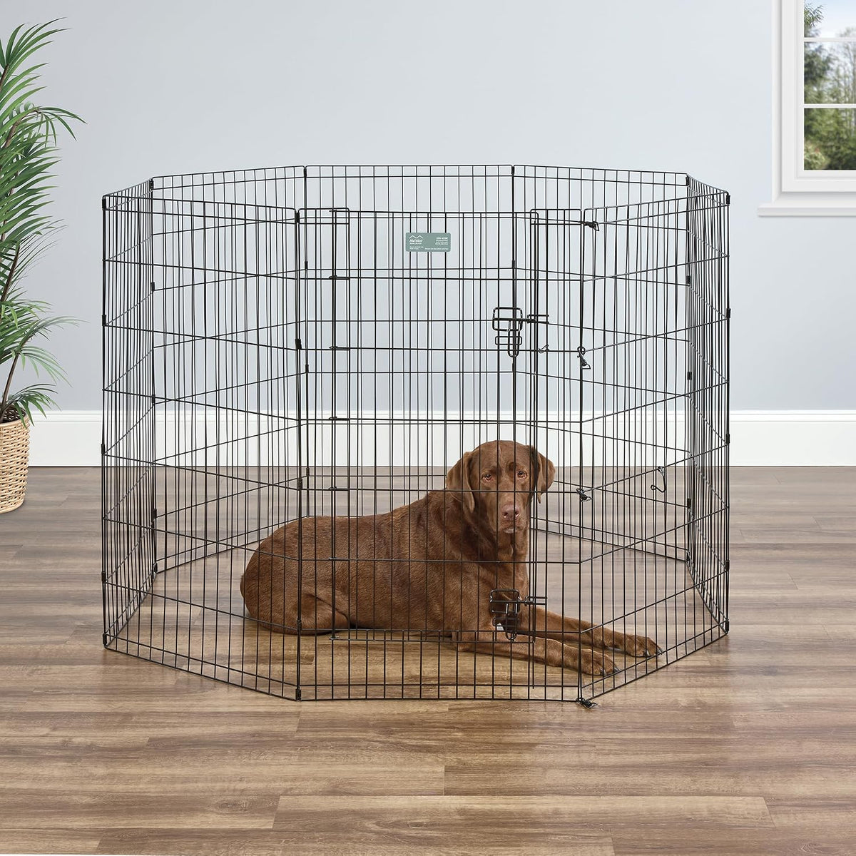 MidWest 30-Inch Exercise Pen, Single Door, 16 Sq Ft Play Area – Essentials for Dogs - Black w/ Door / 42" H - image 3