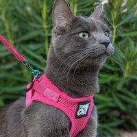 Travel Cat Harness and Leash Set - Medium / Pink - image 2