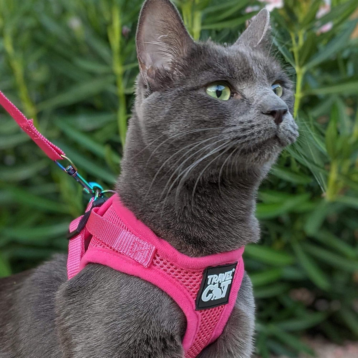 Travel Cat Harness and Leash Set - Medium / Pink - image 2