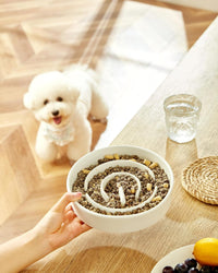 Ceramic Slow Feeder Dog Bowls - White / 8 Inches - image 2