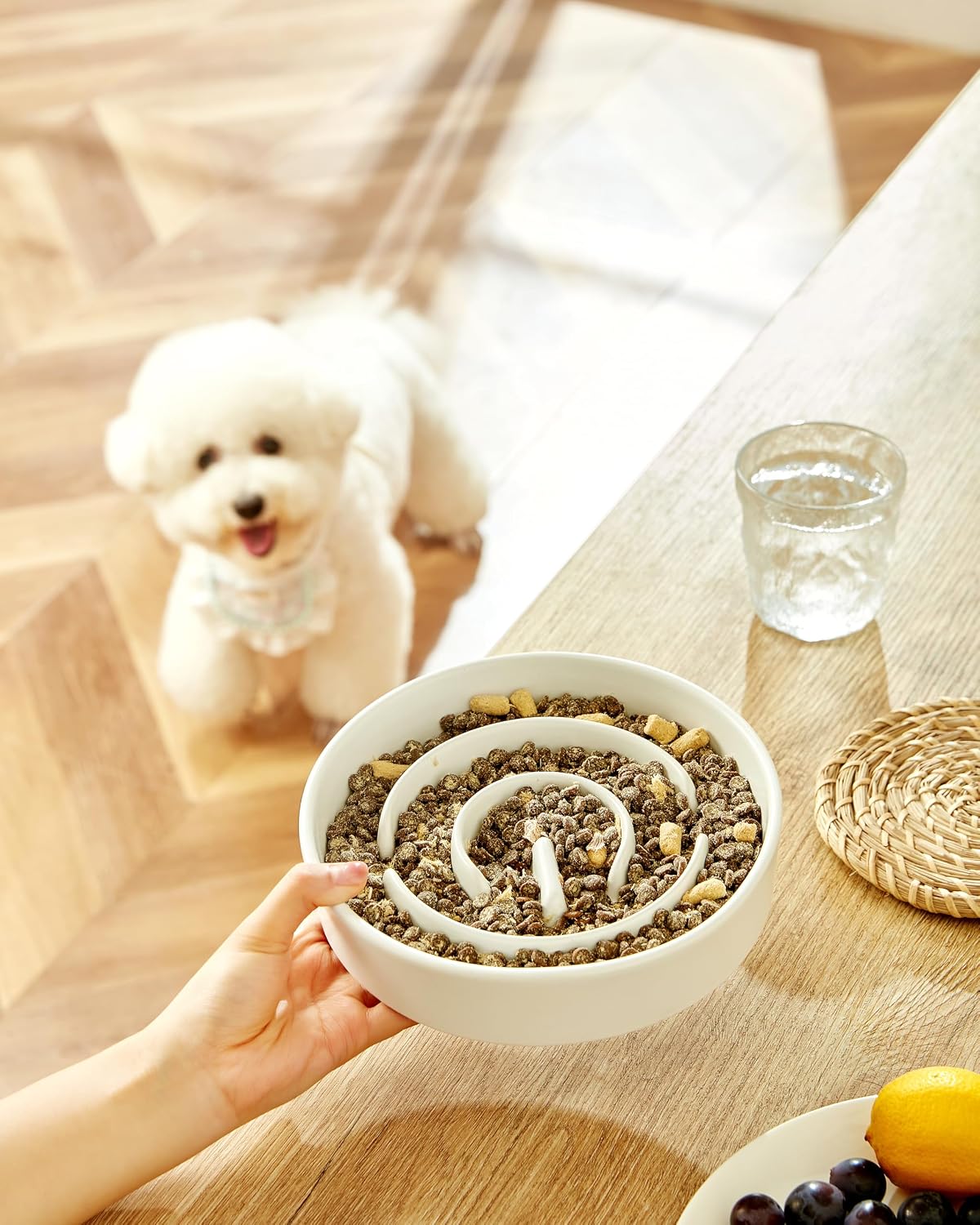 Ceramic Slow Feeder Dog Bowls - White / 8 Inches - image 2