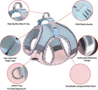 Breathable Dog Harness Small Sized and Leash Set - Blue-Pink / XXS(Chest: 10 - 11.5") - image 4