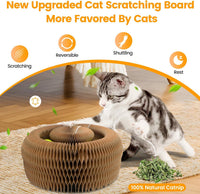 Kitty Kurls Magic Organ Cardboard Cat Scratcher Toy with 2 Balls - image 2