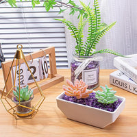0.5 Lb/230g Amethyst Quartz Crystal Chips Bulk, Purple Crushed Stones Natural Gemstones Healing Reiki Crystals Mini Quartz Vase Filler Aquarium Gravel Rocks, 5-7mm