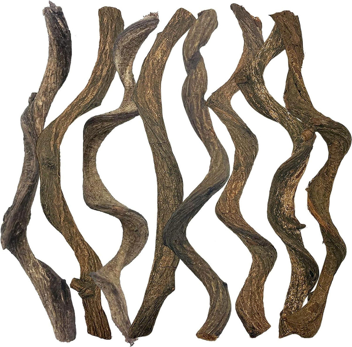 Reptile Decor 3PCS Natural Forest Branch Terrarium Habitat Decoration - L: 8PCS (12.9IN)