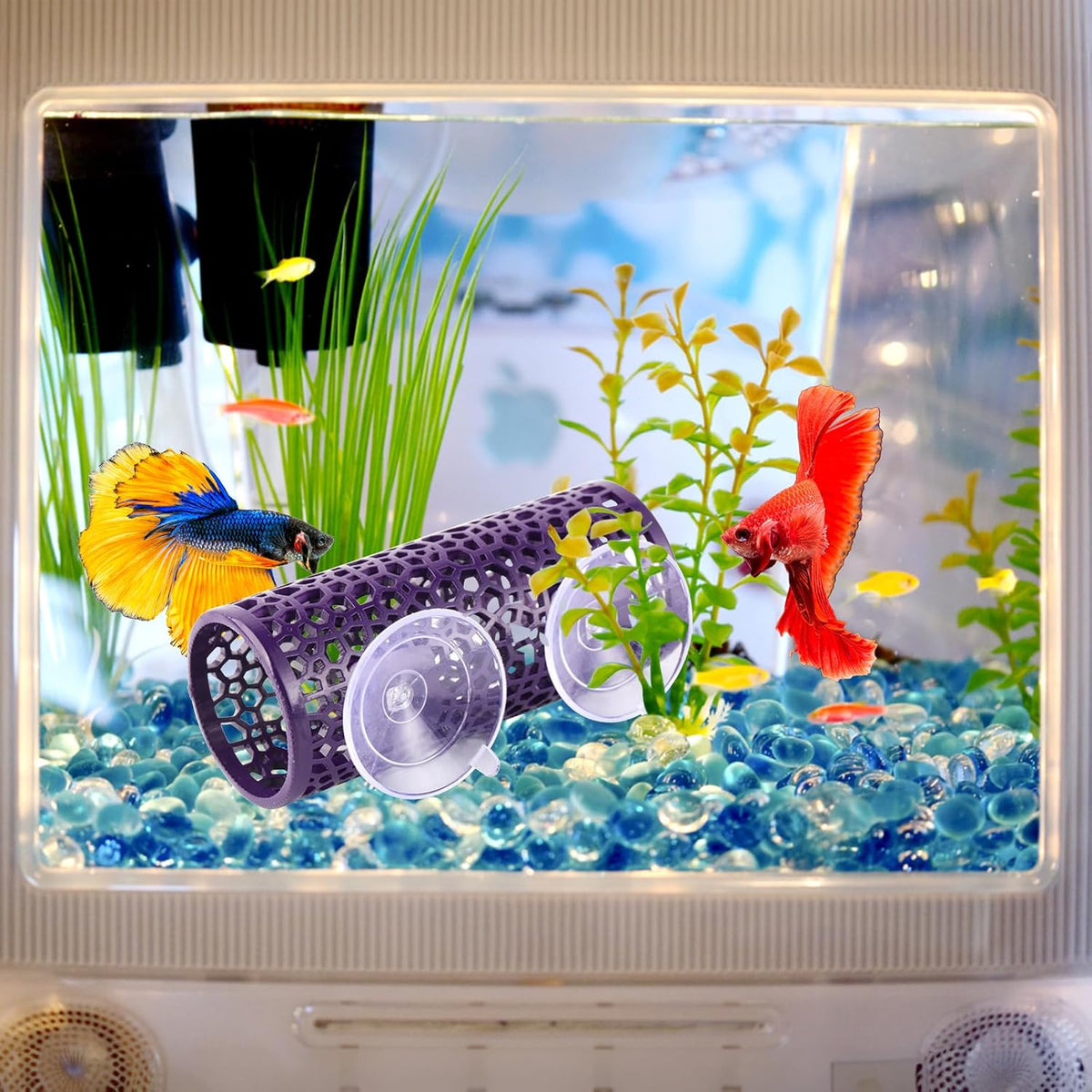 Abizoo Betta Fish Tunnel & Reptile Hide - Purple - image 4
