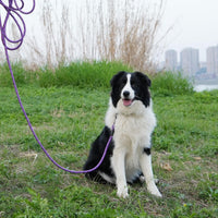 Heavy Duty Dog Leash, 15FT Training Leash with Swivel Lockable Hook, Padded Handle and Highly - 15ft*3/8" / Purple - image 4