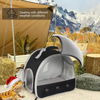 Bearded Dragon Travel Carrier, Lizards Carrier - Black / Carrier - image 3