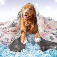 Leekalos Dog Cooling Mat, Summer Pet Cooling Pad for Cats & Dogs - Small(22"x28") / Puppy