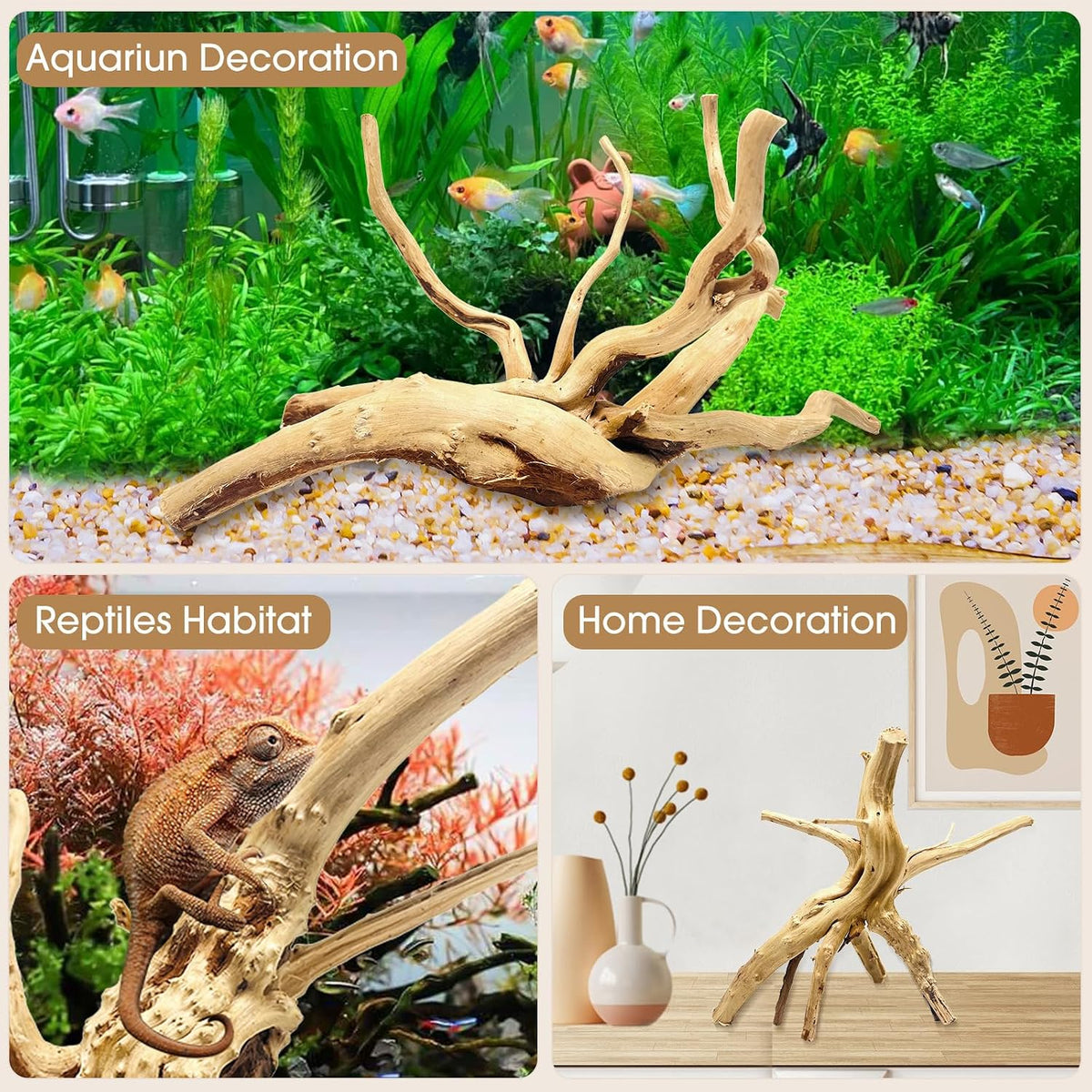 Natural Aquarium Driftwood for Fish Tank Reptile Terrariums Decor – Essentials for Fish - Spiderwood 4 to 8 Inch (Pack of 8) - image 4