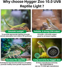 UVB Light for Reptiles with Dimming - Grey / 8W-Grey - image 4
