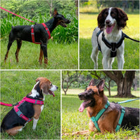 Plutus Pet No Pull Dog Harness - XS / Black - image 3