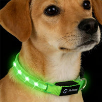 Super Bright LED Dog Collar, Waterproof Light up Collars – Essentials for Dogs - S (Width:0.6",Length:10" - 14.5") / Green