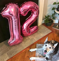 Number Balloons 1st Birthday Decorations - Pink / Number 4 - image 3
