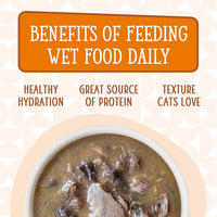 Weruva Cats in The Kitchen, Pumpkin Jack Splash with Tuna in Pumpkin Soup Cat Food, 3oz Pouch (Pack of 12)
