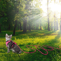 Reflective Cat Leash 50FT Cat Cable Out Escape Proof Walking Leads - 30FT / Hotpink - image 4