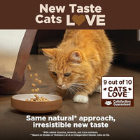 Wellness CORE+ Adult Dry Cat Food for Indoor and Outdoor Cats, Wholesome Grains, Natural, Digestive Health Chicken & Rice (5 Pound Bag)
