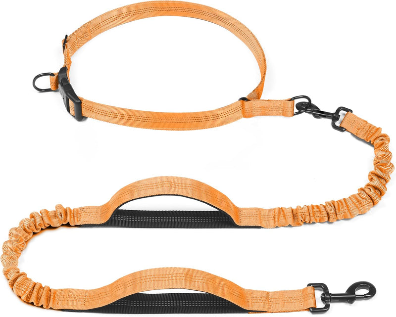 Retractable Hands Free Dog Leash - Orange / Medium/Large