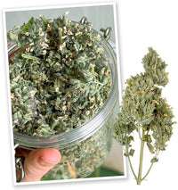 Meowijuana | Dried Catnip Buds Jar | Premium Organic Catnip | Grown in North America | Perfect for Cat Toys | Fresh Catnip for Extended Playtime | Elevate Your Cat's Enjoyment