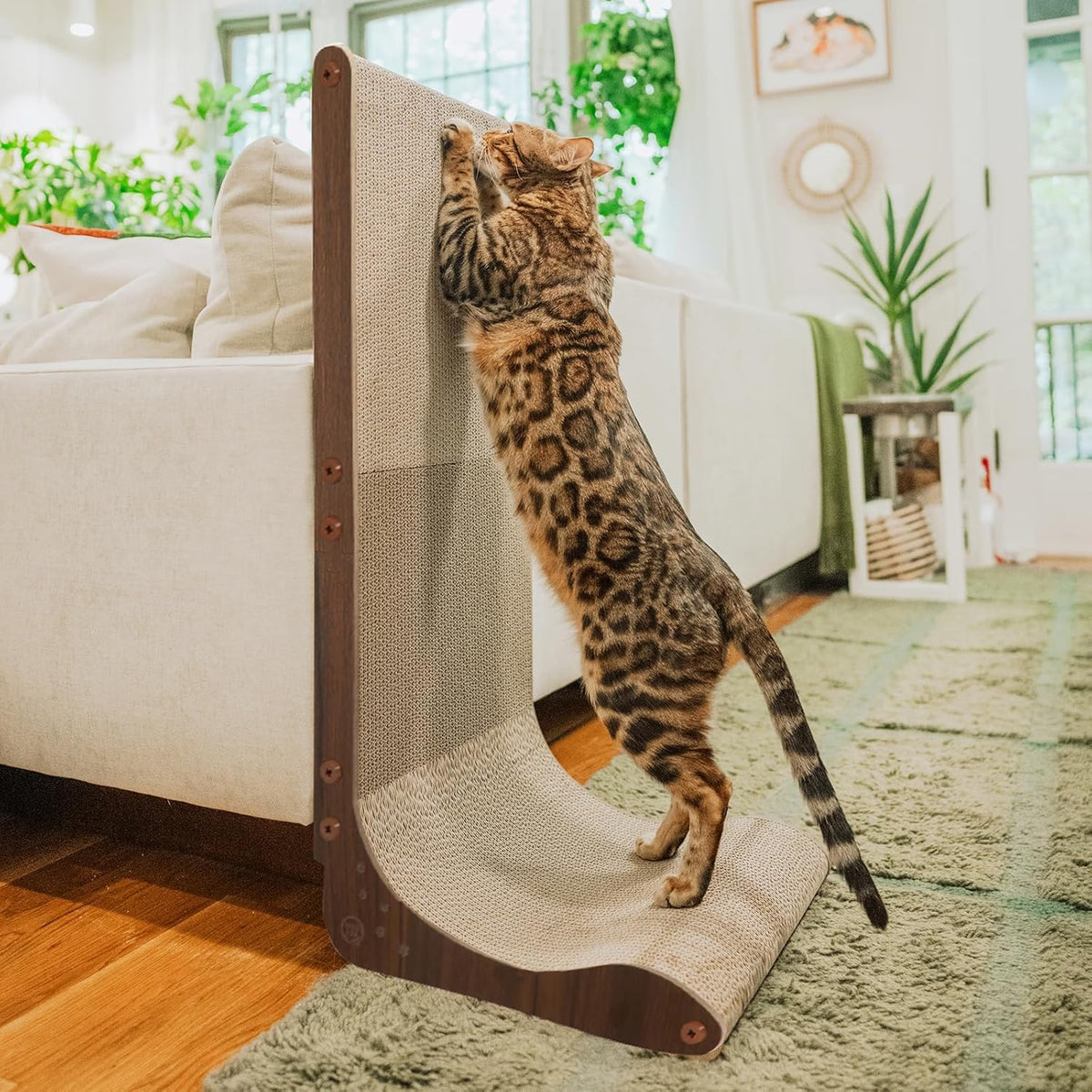 Necoichi Cardboard Cat Scratcher Wall for Indoor Cats - Large 33.5" / Wall(Dark Cherry)