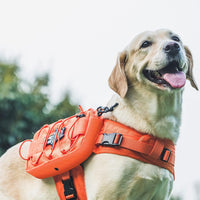 OneTigris Dog Backpack for Medium & Large Dogs - Orange / Large - image 2
