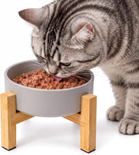 Elevated Cat Water Bowl, Ceramic Raised Cat Food Bowl with Adjustable Bamboo Stand, 5.1" Compact - Small / Grey