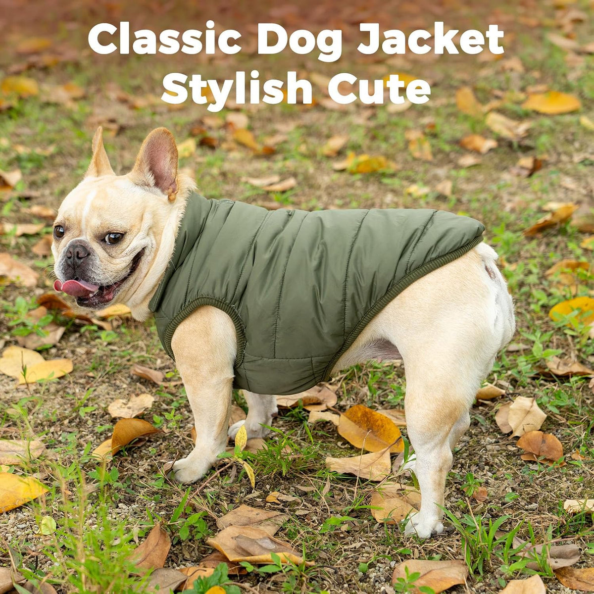 Fleece Lined Dog Jacket for Small Dogs, Winter Dog Coat - Green / Medium - image 2