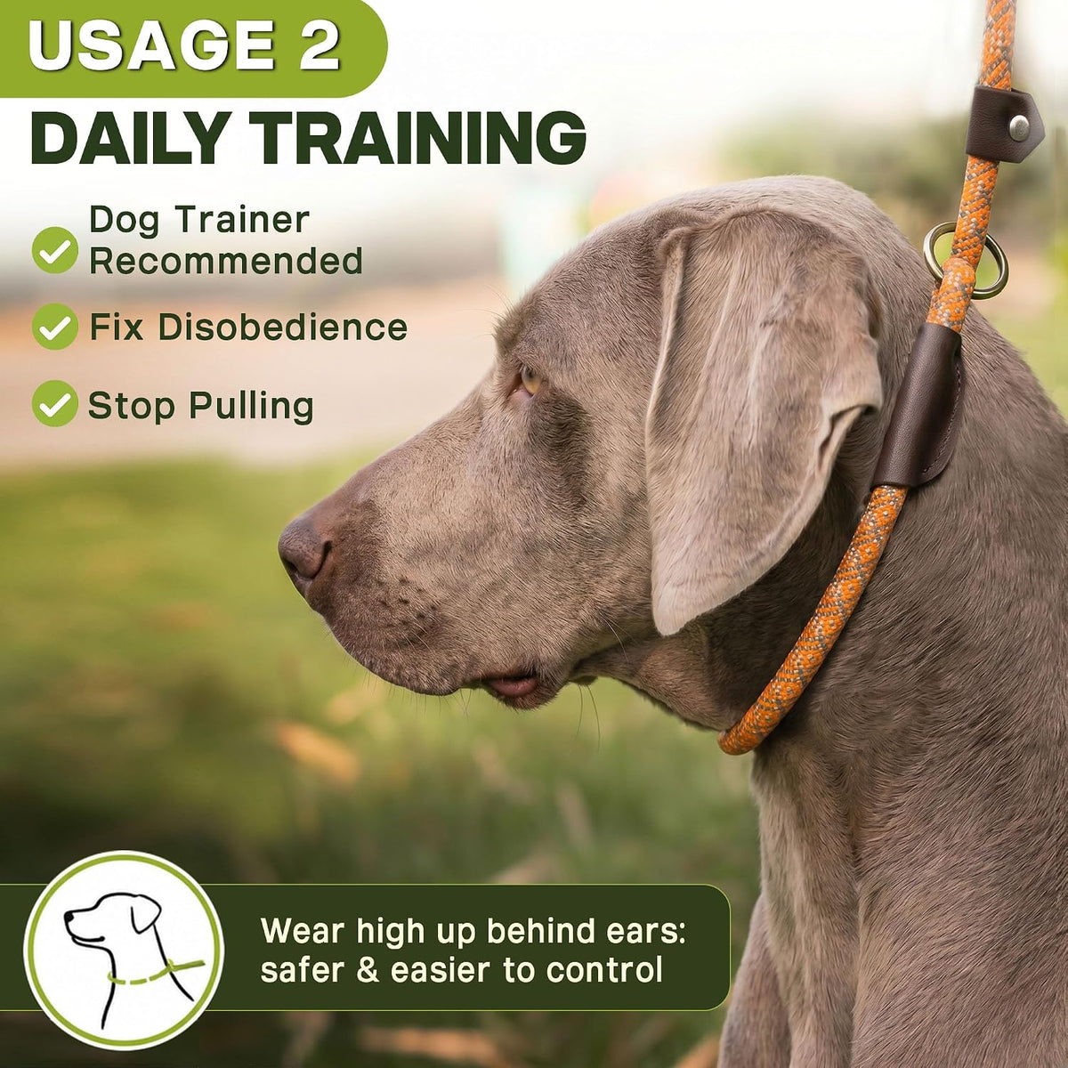 Fida Durable Slip Lead Dog Leash - Small (3/8" x 6 ft) / Orange - image 3