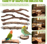 4 Pack Natural Wood Bird Perch Set for Parakeet Cage – Essentials for Birds - 6 Pcs - Multi-Texture Variety (Grapevine & Ash) - image 3