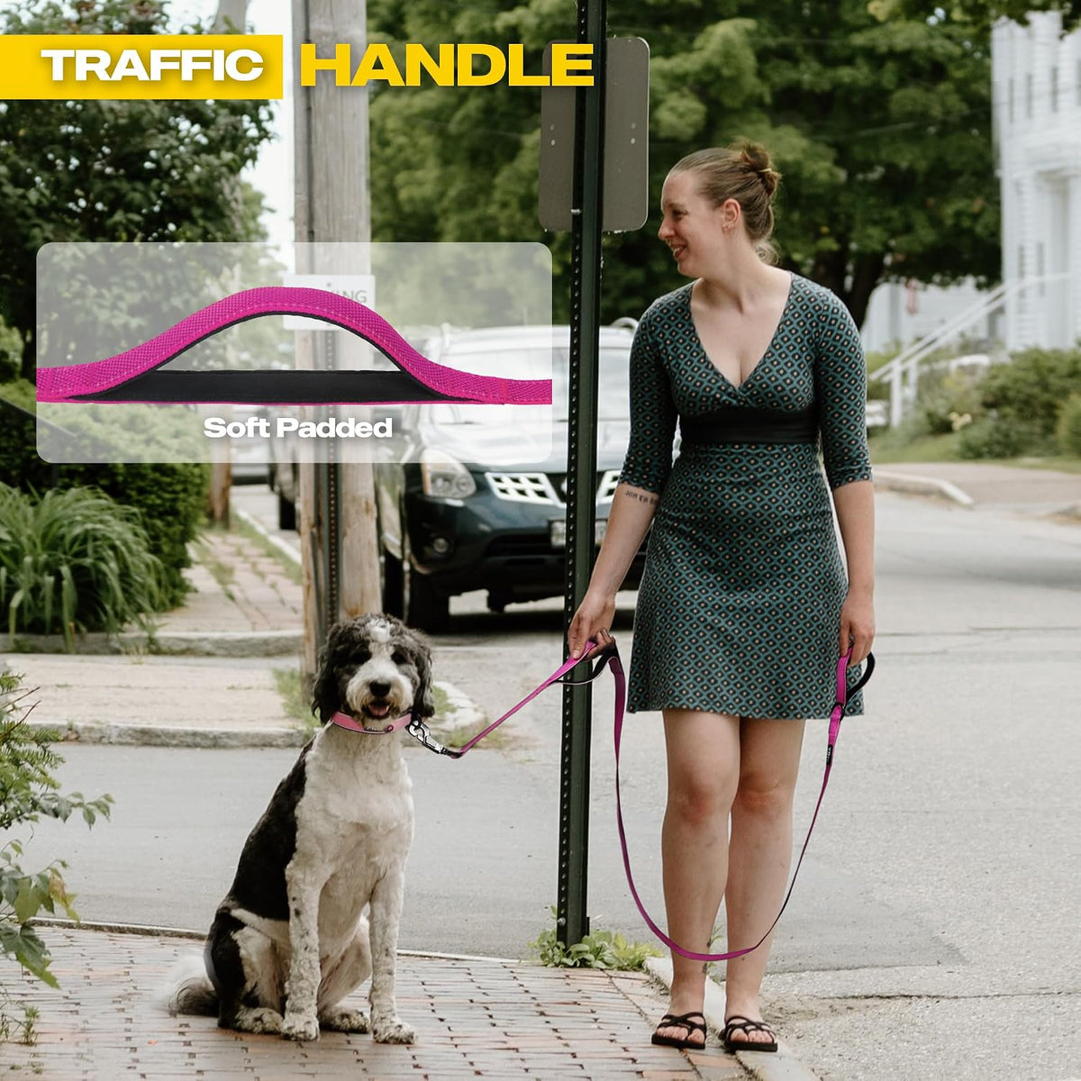 Fida Heavy Duty Dog Leash for Medium Large Dogs - 10 Feet (Pack of 1) / Rose - image 4
