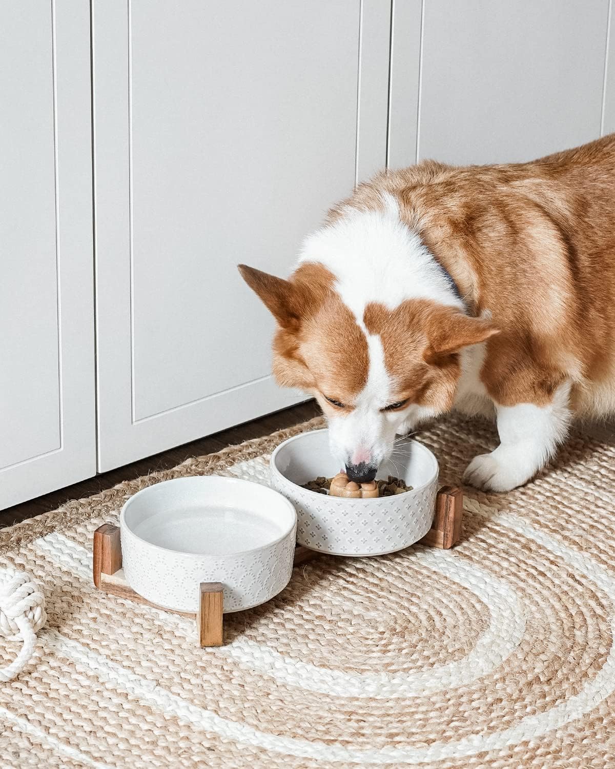 LE TAUCI Dog Bowl Set with Acacia Wood Stand - Fireworks+Clover / S-1.8 Cup - image 3