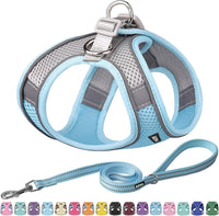 AIITLE Small Dog Harness and Leash Set, Step-in Puppy Pet Vest - XS(Chest: 11.5 - 13.5") / Blue