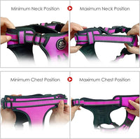 NESTROAD No Pull Dog Harness,Adjustable Oxford Dog Vest Harness with Leash,Reflective No-Choke Pet Harness with Easy Control Soft Handle for Small Dogs(Small,Fuchsia Pink)