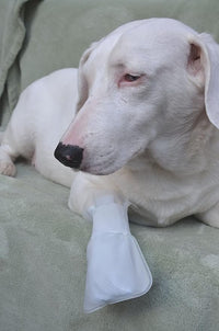 Outdoor Water proof COVER. Slides over MediMitts for dogs paw (which are sold SEPARATELY) Fastens with Medimitt strap. Useful for hot spots, allergies & chronic licking Value pk (X-Large 20pk)